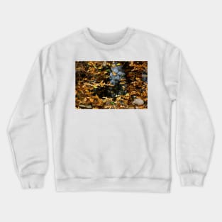 Autumn Leaves Crewneck Sweatshirt